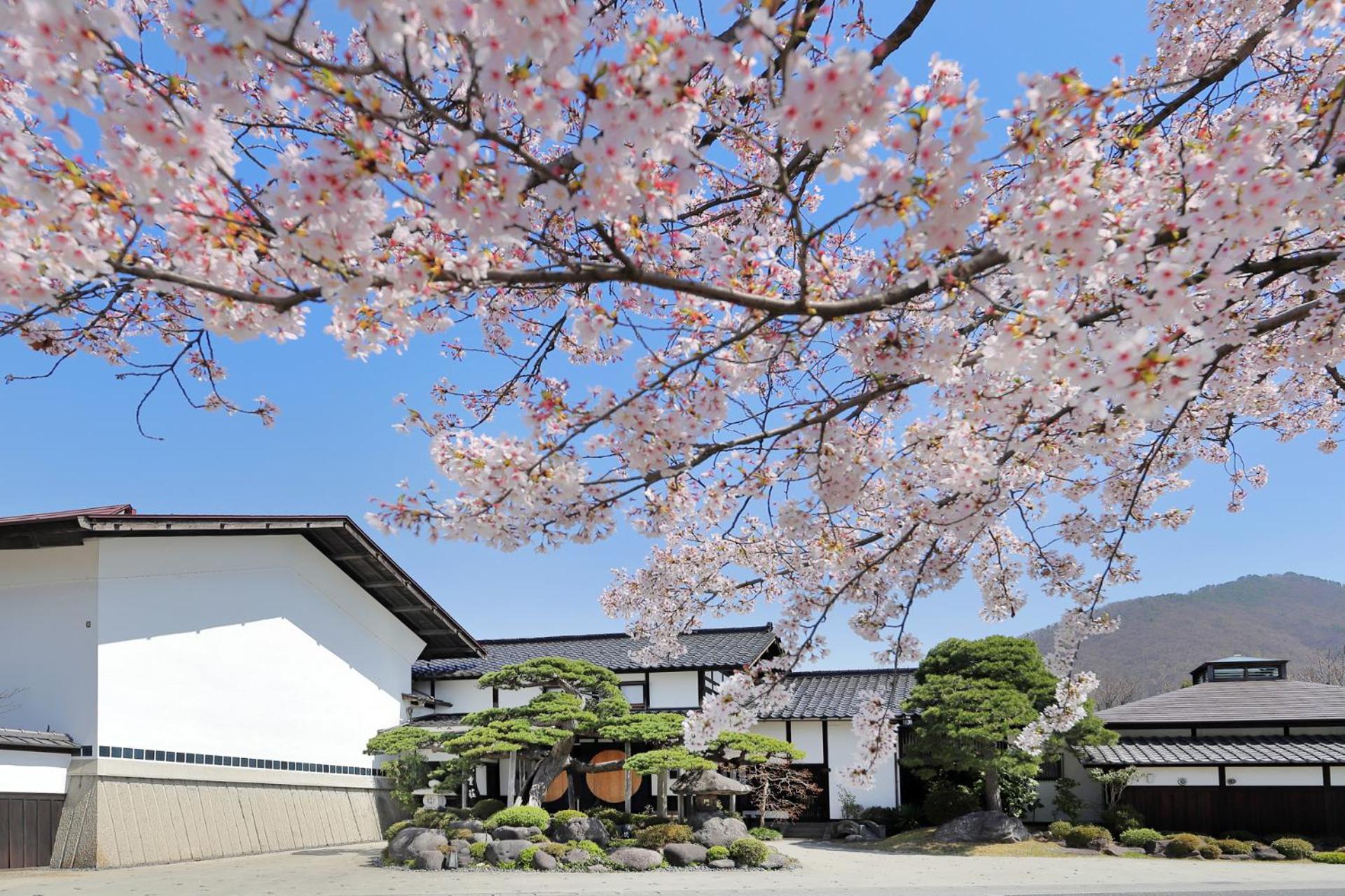 天童荘 Tendoso Bagian luar foto